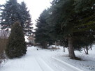 agroturystyka, usługi opiekuńcze(dzieci, senior),noclegi - 6