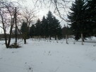 agroturystyka, usługi opiekuńcze(dzieci, senior),noclegi - 5