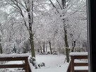 Dom całoroczny na Mazurach z własną plażą i pomostem. - 14