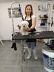 Salon pielęgnacji zwierząt Bella i Bafi - 7
