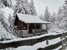Domki na wynajem. Leśne domki. Domki letniskowe. Wczasy. - 14