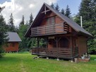 Domki na wynajem. Leśne domki. Domki letniskowe. Wczasy. - 2