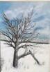 Zimowe drzewo- obraz, pejzaż ,zima ,drzewo - 2