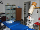 Rehabilitacja masaż, Hirudoterapia - 1