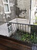 Siatka na balkon przeciw ptakom. Usługa montażu. Sprzątanie. - 5