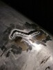 Spawanie aluminium, nierdzewki, żeliwa, miedzi. Spawacz - 9