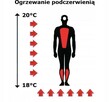 Ceramiczny Panel Grzewczy Termofol - 8