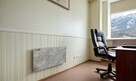 Ceramiczny Panel Grzewczy Termofol - 2