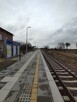 Działka Gościszewo 1400 m2 media w drodze - 8