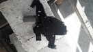 Sprzedam silnik wycieraczki tyl Peugeot 207 - 3
