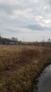 Jedyna taka działka u nasady półwyspu helskiego - 6