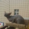 Montaż siatki na balkon na okno Łódź , jak wykonać ? - 6
