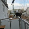 Montaż siatki na balkon okno dla kota i przeciw gołębiom - 6