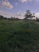 Działka Skorzów gmina Busko-Zdrój - 5