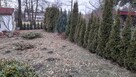 Działka rekreacyjna 300m Będzin ul. Podłosie - 2