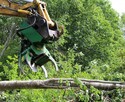 GŁOWICA ŚCINKOWA do DREWNA chwytak BIOMASA koparka Silvatech - 5