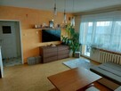 52m2!*do wejścia*Zielone Wzgórza*ul. Magnoliowa - 1