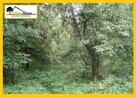 ROKITNO SZLACHECKIE – BUDOWLANA – DOBRA LOKALIZACJA - 4
