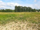 Działka budowlana z WZ, Nowy Borek, 37ar - 4