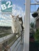 Siatka dla kota, siatka balkonowa, siatka na balkon - 2