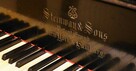Lekcje gry na pianinie, fortepianie, keyboardzie! Niska cena - 2