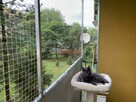 Siatka dla kota, siatka na balkon, siatka balkonowa - 3