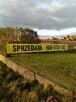 Sprzedam dzialke + kurnik - Kaszuby / Gdańsk - 1