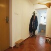 Sprzedam atrakcyjne mieszkanie w centrum miasta - 1