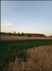 Działka budowlana Godzięcin 16 arów 40 zł m2 Wołów Wrocław - 2