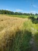 Sprzedam działkę inwestycyjną w miejscowości Wojska - 1