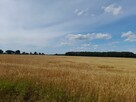 Sprzedam działkę inwestycyjną w miejscowości Wojska - 2