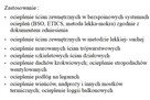 Styropian Izoline Fasada Premium 0,038 8cm - 3