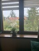 BISKUPIN - klimatyczne mieszkanie z balkonem i ogrodem - 7