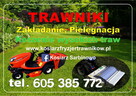 Zakładanie trawników z rolki sianych łąk kwietnych - 5