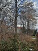 Działka Dąbrowa Leśna ul. Aleja Lip - 4