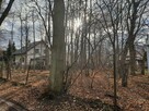 Działka Dąbrowa Leśna ul. Aleja Lip - 6