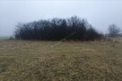 Na sprzedaż działka rolna zabudowana o pow. 0,2361 ha. - 4