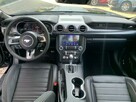 Ford Mustang Mach 1 - 16