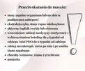 Masaże Twarzy- masaż kobido - 8