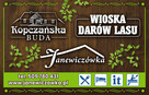 Wynajem domów całorocznych drewniany ok. Augustowa - 10