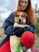 Młody, zakochany w człowieku Chester - wesołek do adopcji! - 5