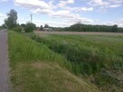 Działka Orzechów Kolonia rekreacyjna - 10