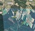 Sprzedam las - działki leśne Przasnysz > Chorzele > Przysowy - 8