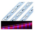 Oświetlenie Led 100 CM 5630 Special - PLANT GROW - 5