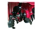 SPALINOWA GLEBOGRYZARKA BRIGGS&STRATTON CEDRUS PRO - 6