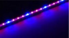 Oświetlenie Led 100 CM 5630 Special - PLANT GROW - 6