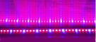 Oświetlenie Led 100 CM 5630 Special - PLANT GROW - 3