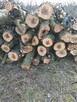 Drewno opałowe jabłoniowe - 1