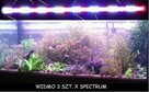 Oświetlenie akwarium Led 70cm - spektrum - 7