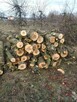 Drewno opałowe jabłoniowe - 2